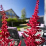 Apartamentowe Mewa Morze Apartamentow Appartement Jastrzębia Góra