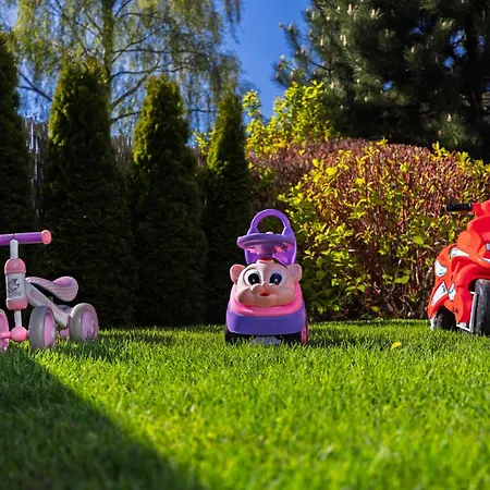 Mewa * Jastrzębia Góra