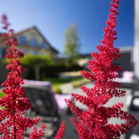 Mewa Appartamento Jastrzębia Góra