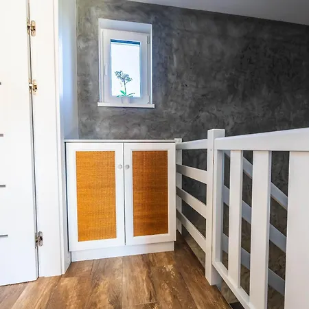 Mewa Jastrzębia Góra