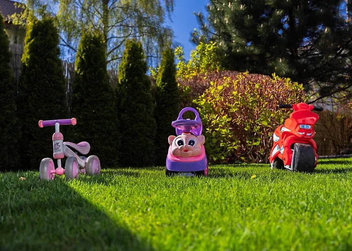 Mewa * Jastrzębia Góra