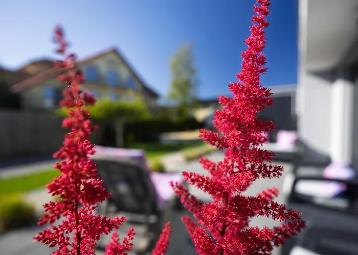 Mewa アパート Jastrzębia Góra