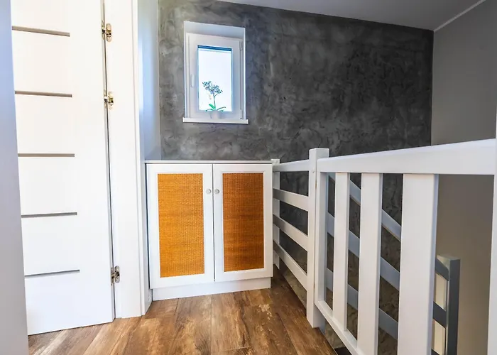 Mewa Jastrzębia Góra